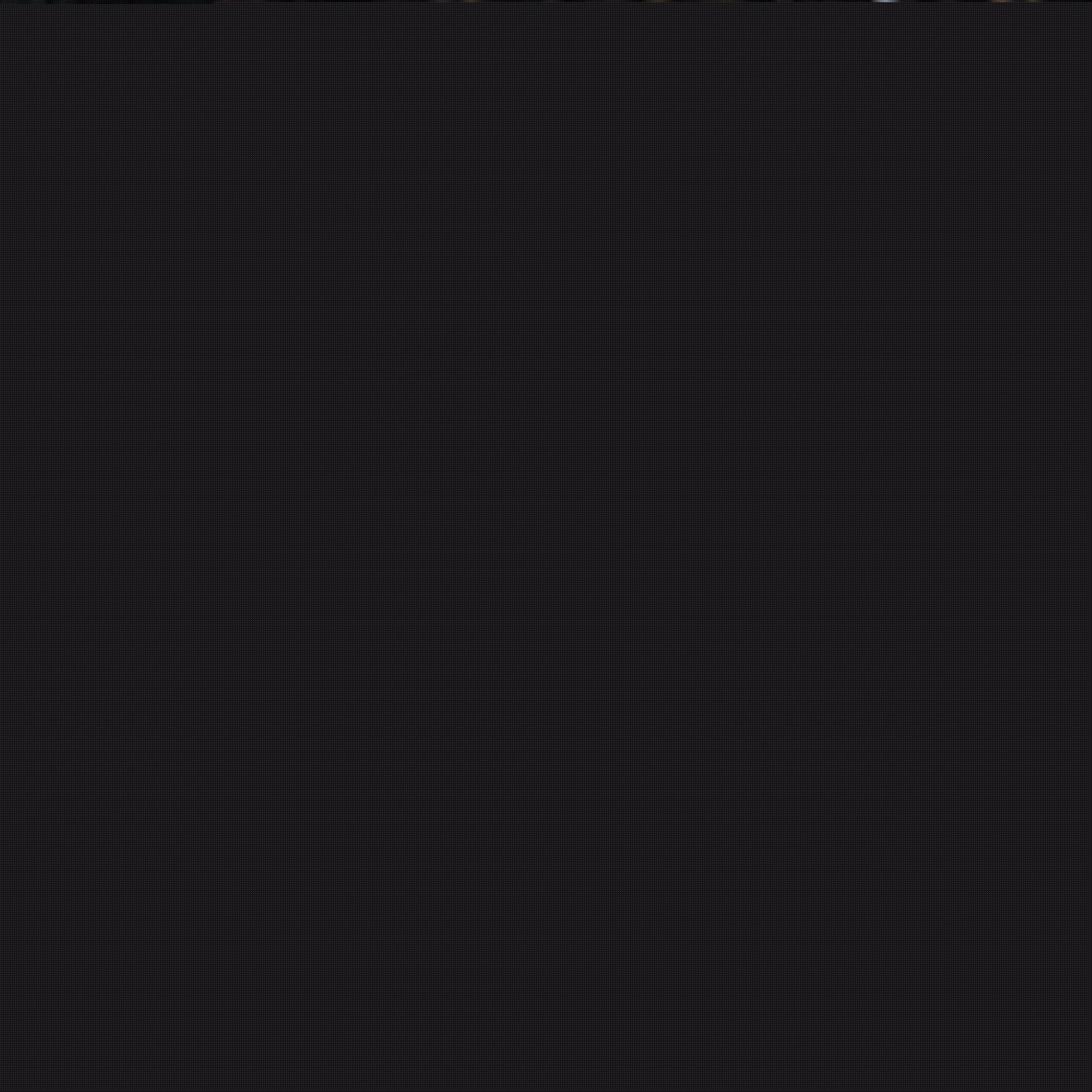 双重身份