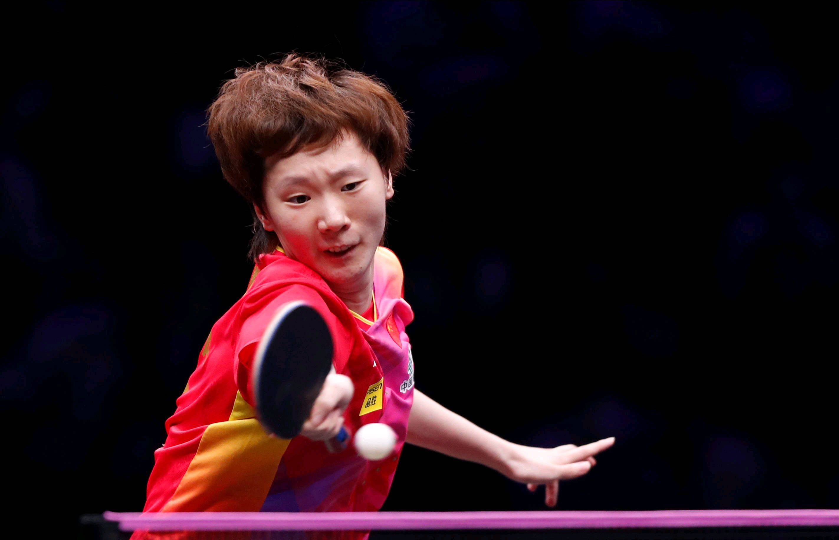 象鲜明的案 象鲜明的案